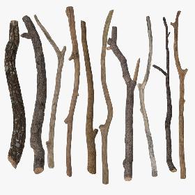 Twigs and Sticks